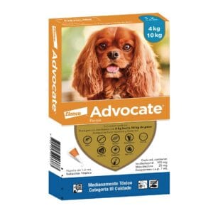 ADVOCATE a 10 dog