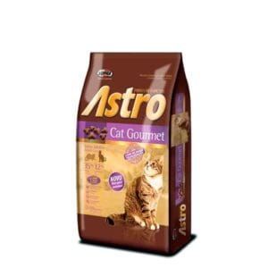 ASTRO gato10k