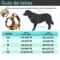 Arnes reflectante para perros
