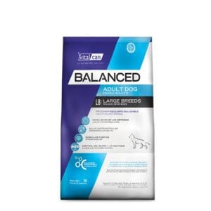 BALANCED ADULTO 20k