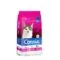 CONNIE gato 8k