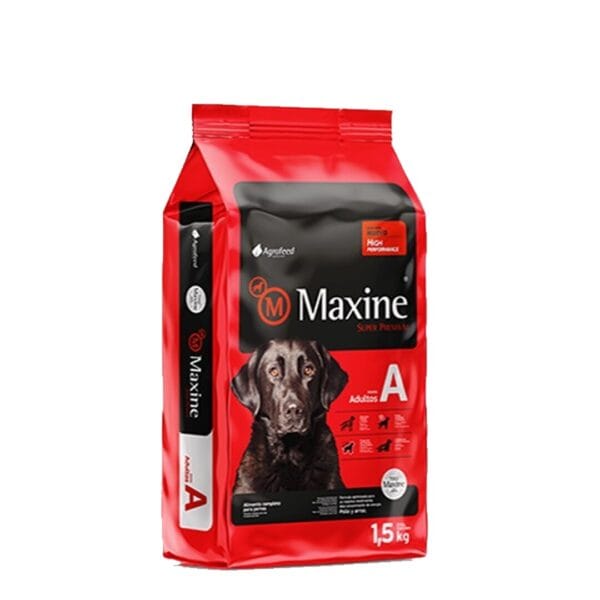 Maxine adulto 21