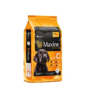 Maxine cachorro 21