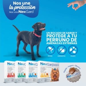 NEXGARD 10K A 25K Pastilla Antipulgas y Garrapatas