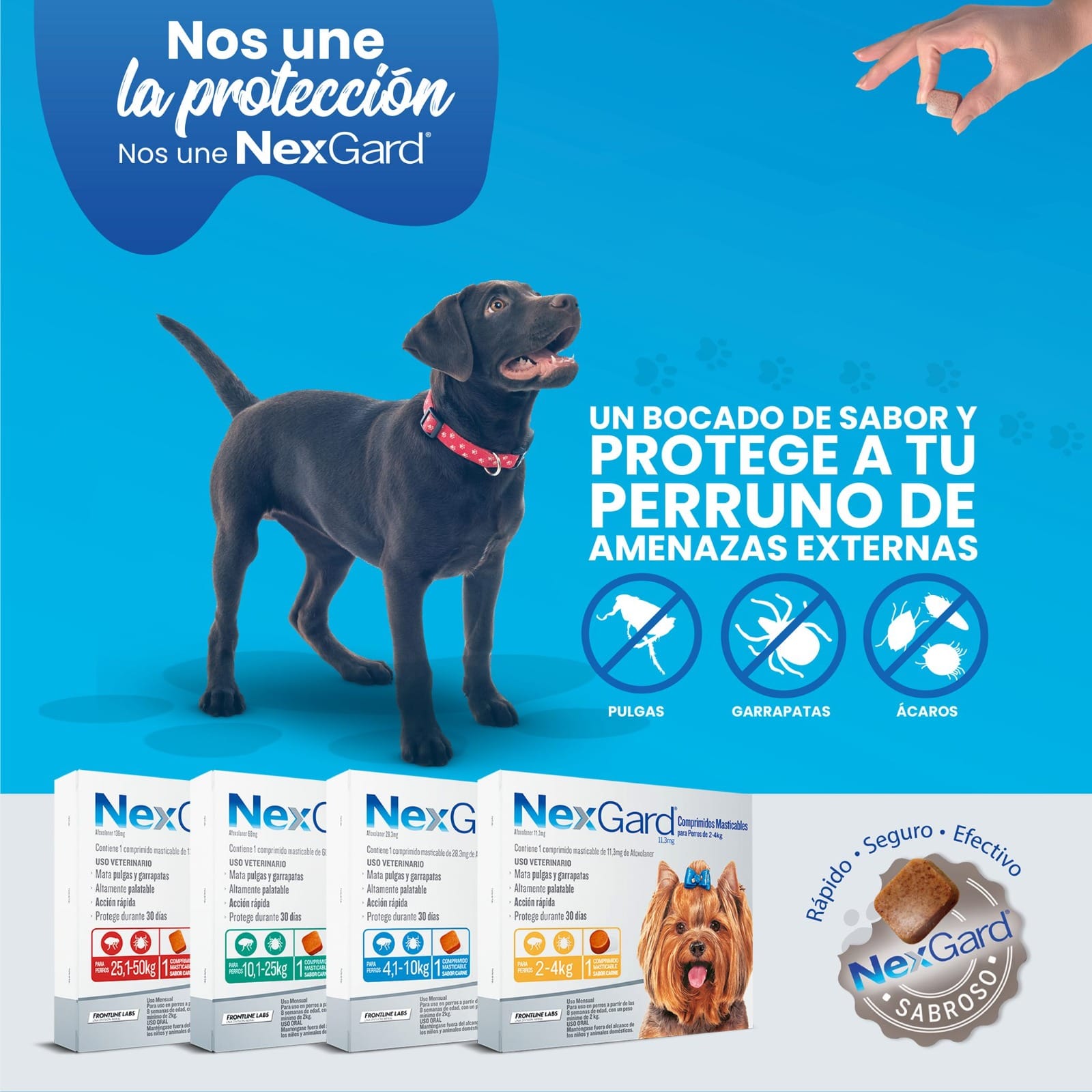 NEXGARD 2kg A 4kg Pastilla Antipulgas y Garrapatas