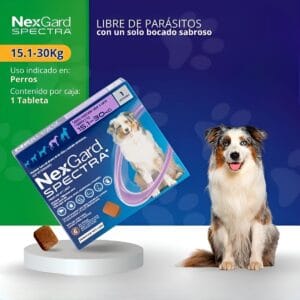 NEXGARD SPECTRA 15 A 30K Pastilla antiparasitario