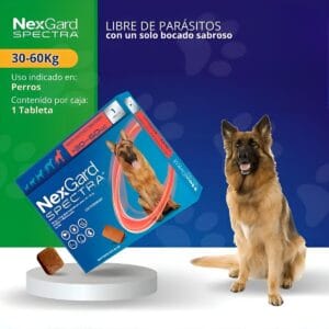 NEXGARD SPECTRA 30 A 60K Pastilla antiparasitario