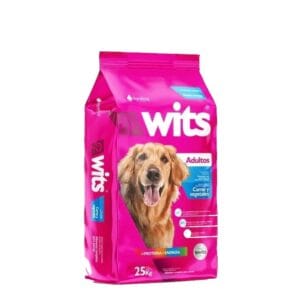 WITS 25