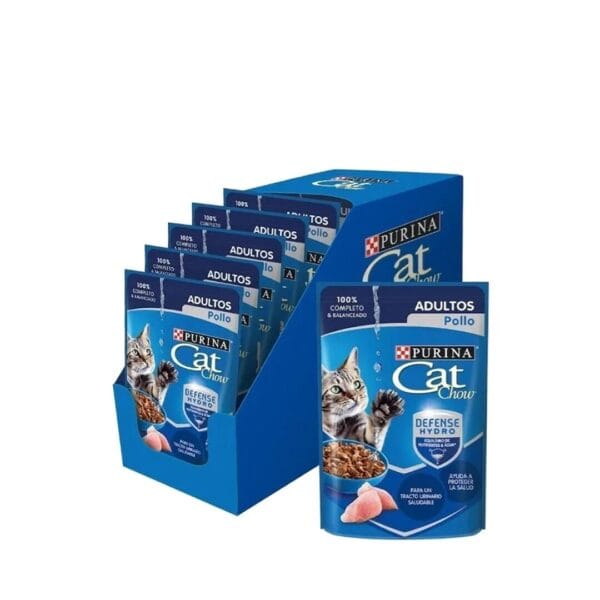 ca chow salsa