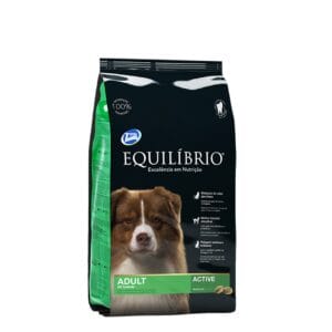 equilibrio adulto 15+3k