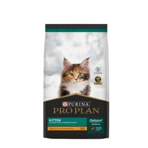 pro cat cachorros