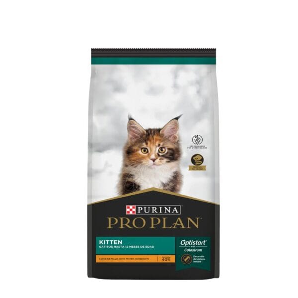 pro cat cachorros