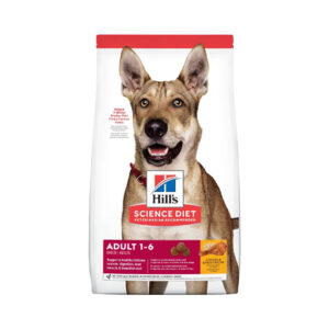 hills adulto 15k