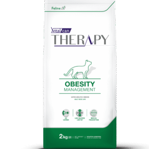 3D Therapy frente gato obesity