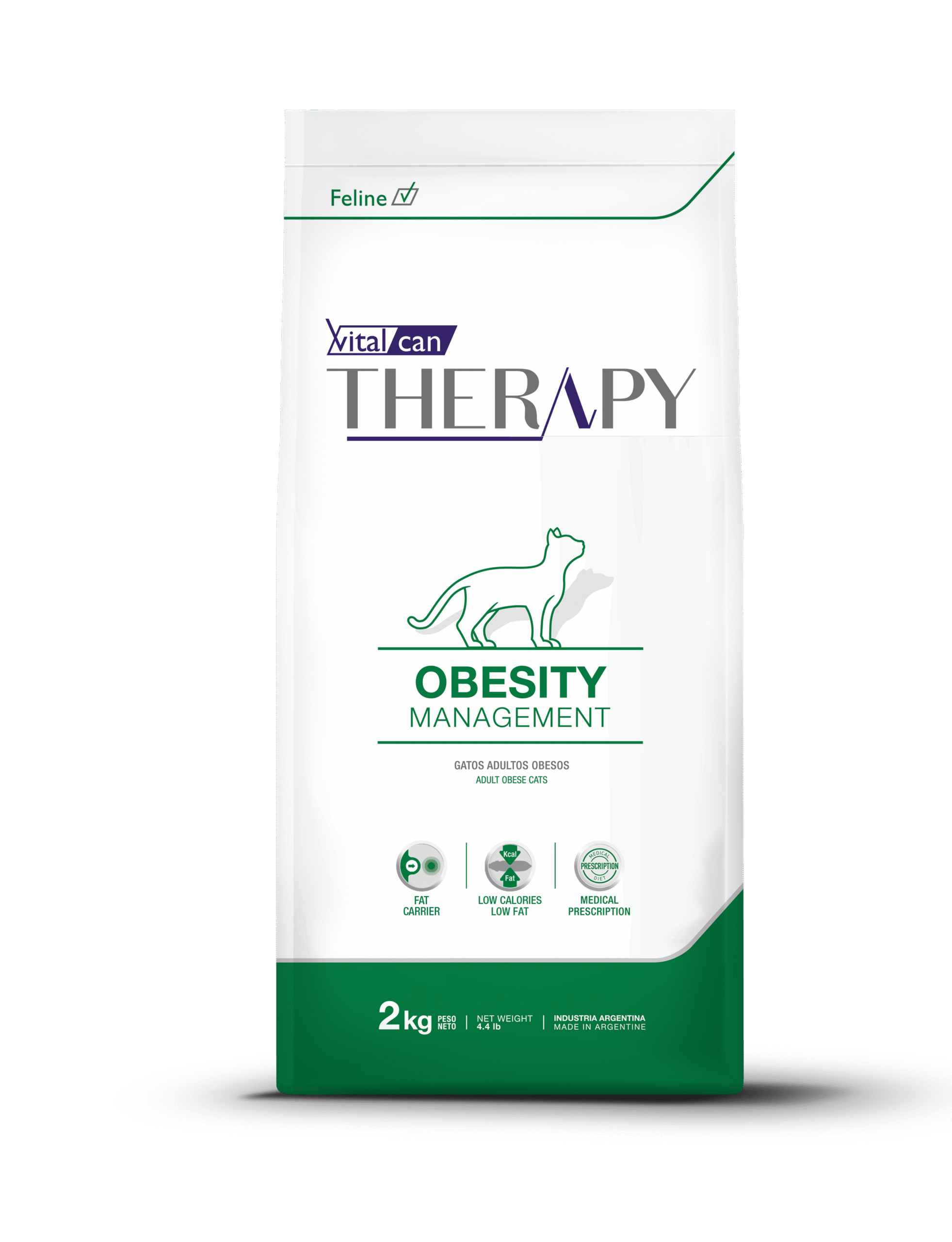 3D Therapy frente gato obesity