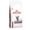 Royal Canin Veterinary Gastrointestinal Gato 2 kg