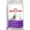 royal canin sensible 33