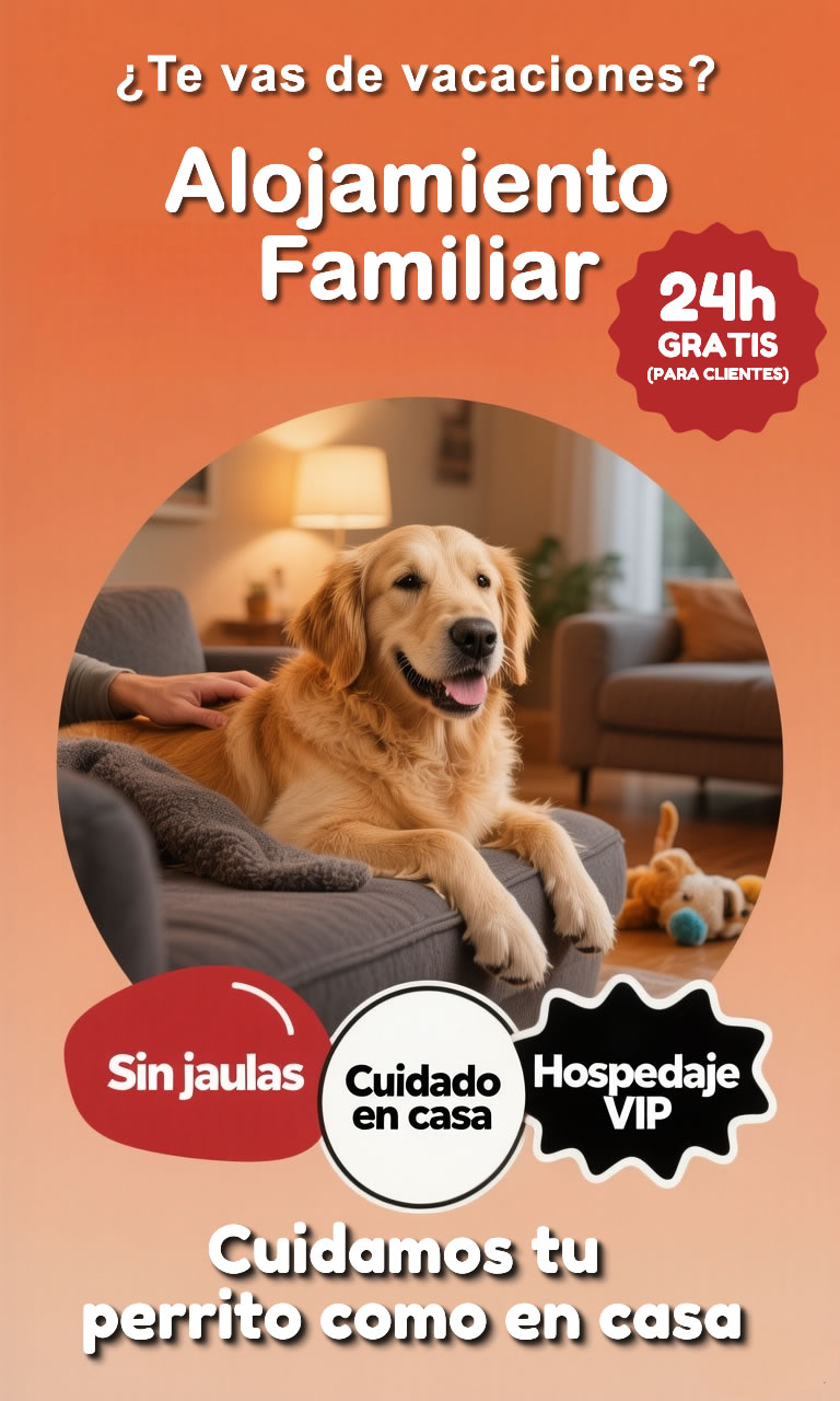 Hotel y hospedaje familiar para perros en Montevideo. Hotel y hospedaje familiar para perros en Montevideo.